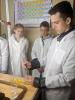 Учні-хіміки 11 класу Політехнічного ліцею досліджували процес отримання гіпохлоритів та хлоратів на кафедрі ТЕХВ КПІ